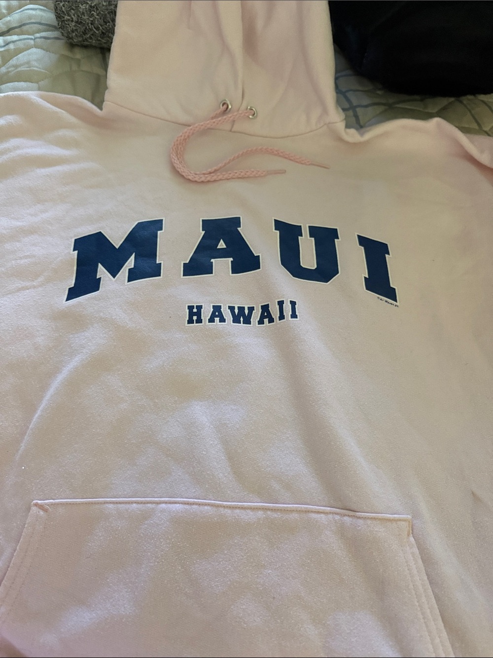 Hanes Light Pink Hoodie with Navy Block Letters